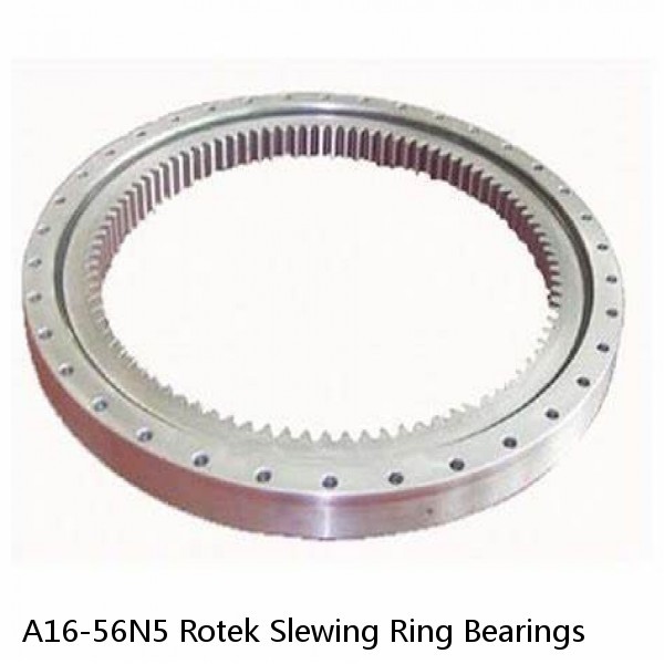 A16-56N5 Rotek Slewing Ring Bearings