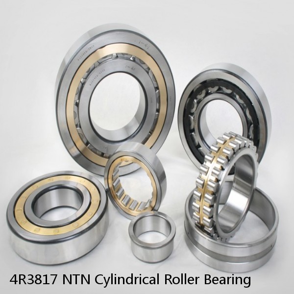 4R3817 NTN Cylindrical Roller Bearing