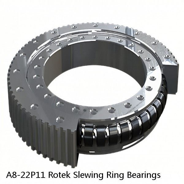 A8-22P11 Rotek Slewing Ring Bearings