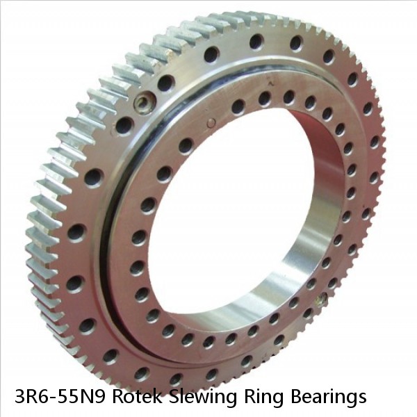 3R6-55N9 Rotek Slewing Ring Bearings