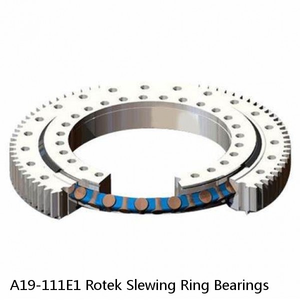 A19-111E1 Rotek Slewing Ring Bearings