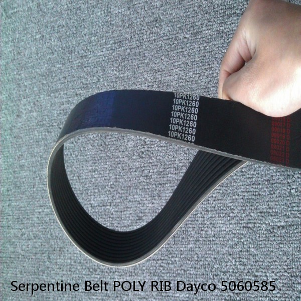 Serpentine Belt POLY RIB Dayco 5060585 #1 small image