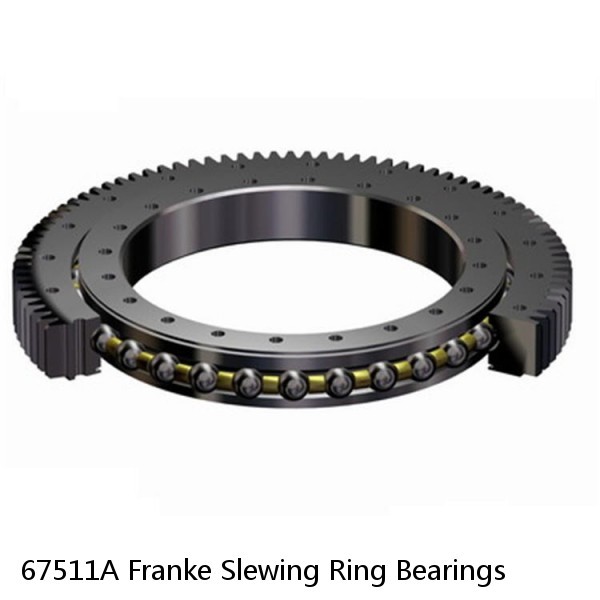 67511A Franke Slewing Ring Bearings #1 image