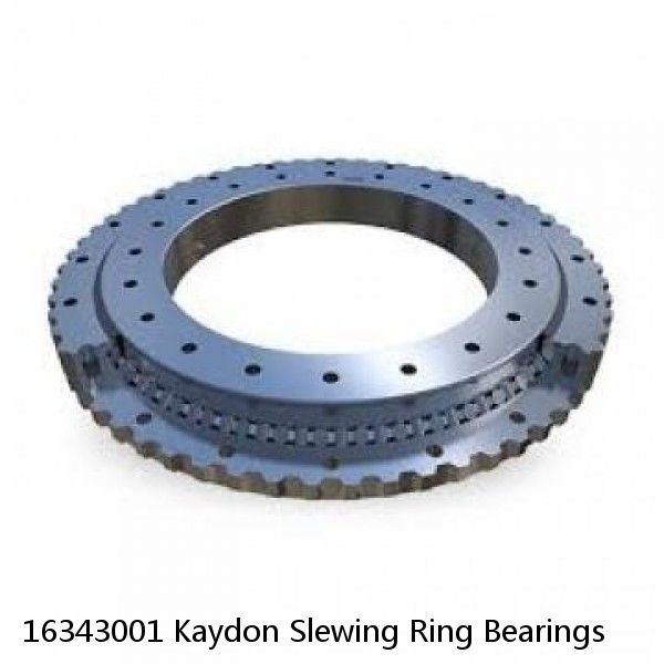 16343001 Kaydon Slewing Ring Bearings #1 image