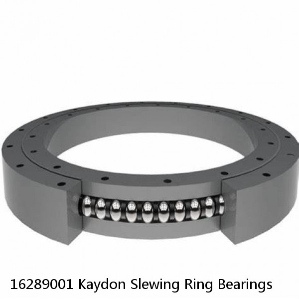 16289001 Kaydon Slewing Ring Bearings #1 image