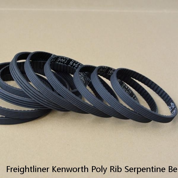 Freightliner Kenworth Poly Rib Serpentine Belt ALLIANCE 8PK2172 / GT4080855 #1 image