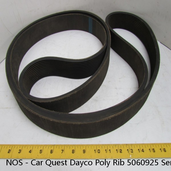 NOS - Car Quest Dayco Poly Rib 5060925 Serpentine Belt #1 image