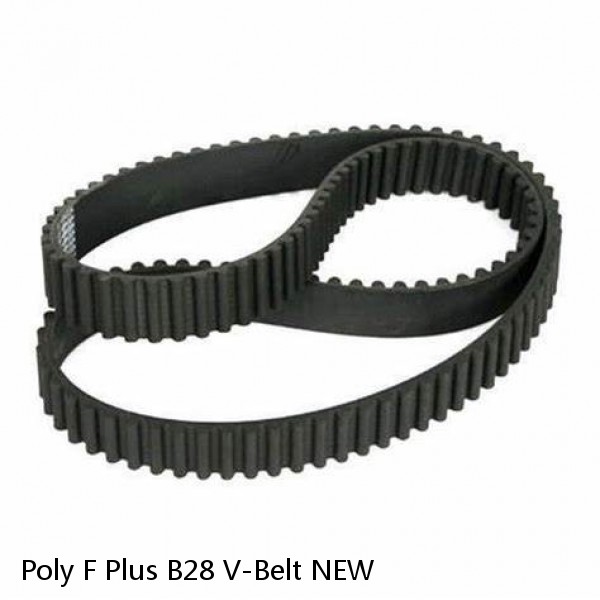 Poly F Plus B28 V-Belt NEW #1 image