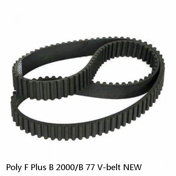 Poly F Plus B 2000/B 77 V-belt NEW #1 image