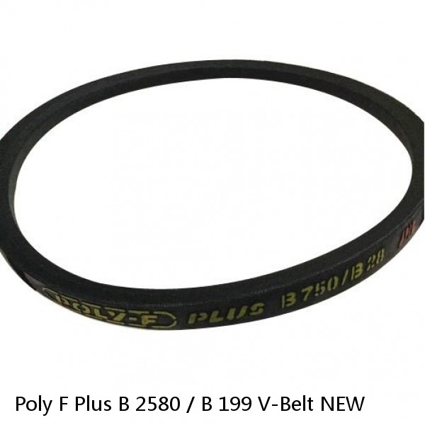 Poly F Plus B 2580 / B 199 V-Belt NEW #1 image