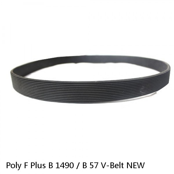Poly F Plus B 1490 / B 57 V-Belt NEW #1 image