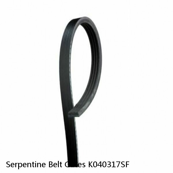 Serpentine Belt Gates K040317SF #1 image